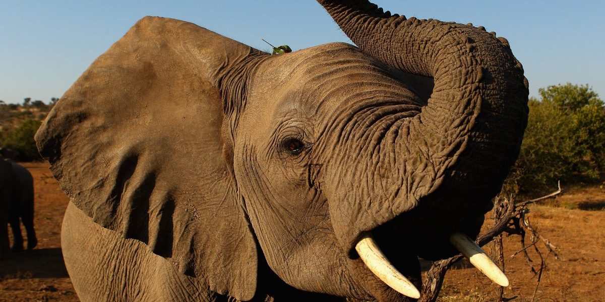 Image: Getty, Cameron Spencer