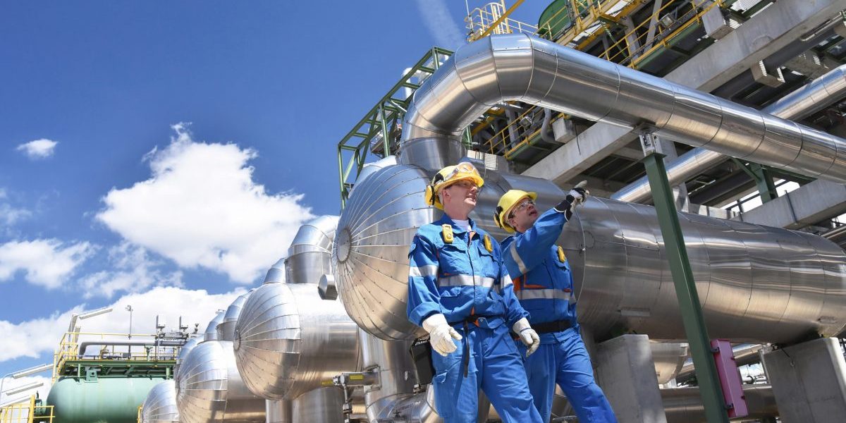 The expanded BRICS can be a force to be reckoned with in shaping a new world energy order