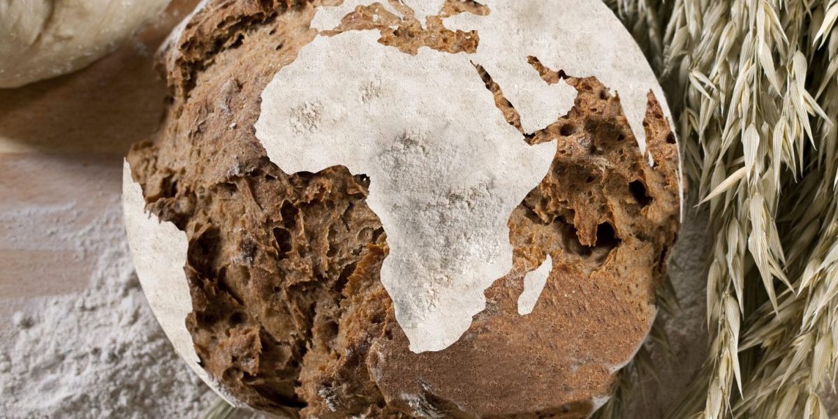 Development Prospects for Africa in the Context of the Global South