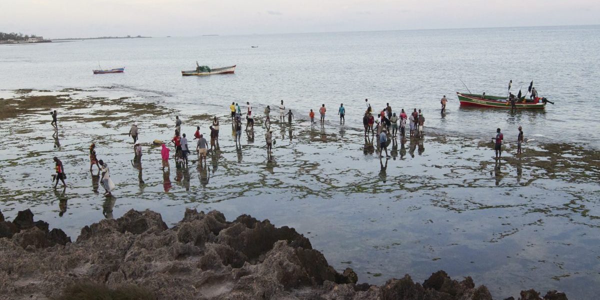 Governance and Community Participation in Marine and Coastal EbA in SADC