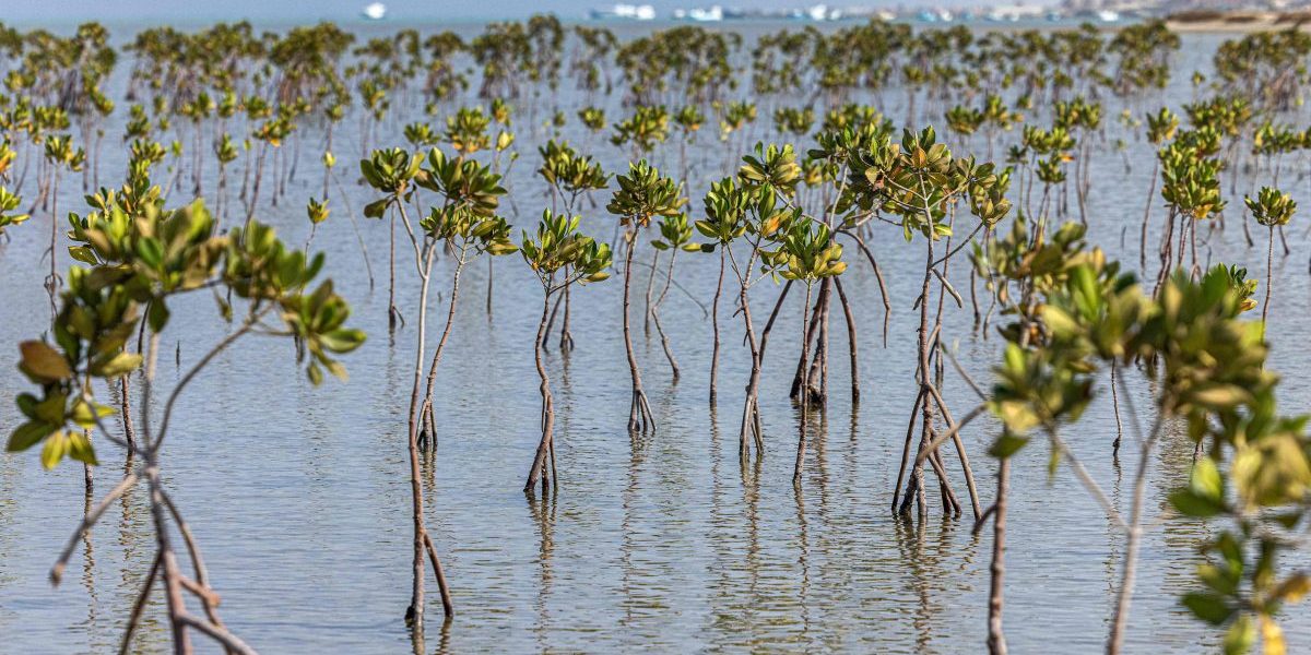 Strengthening Marine and Coastal EbA in Climate Policies in Southern Africa
