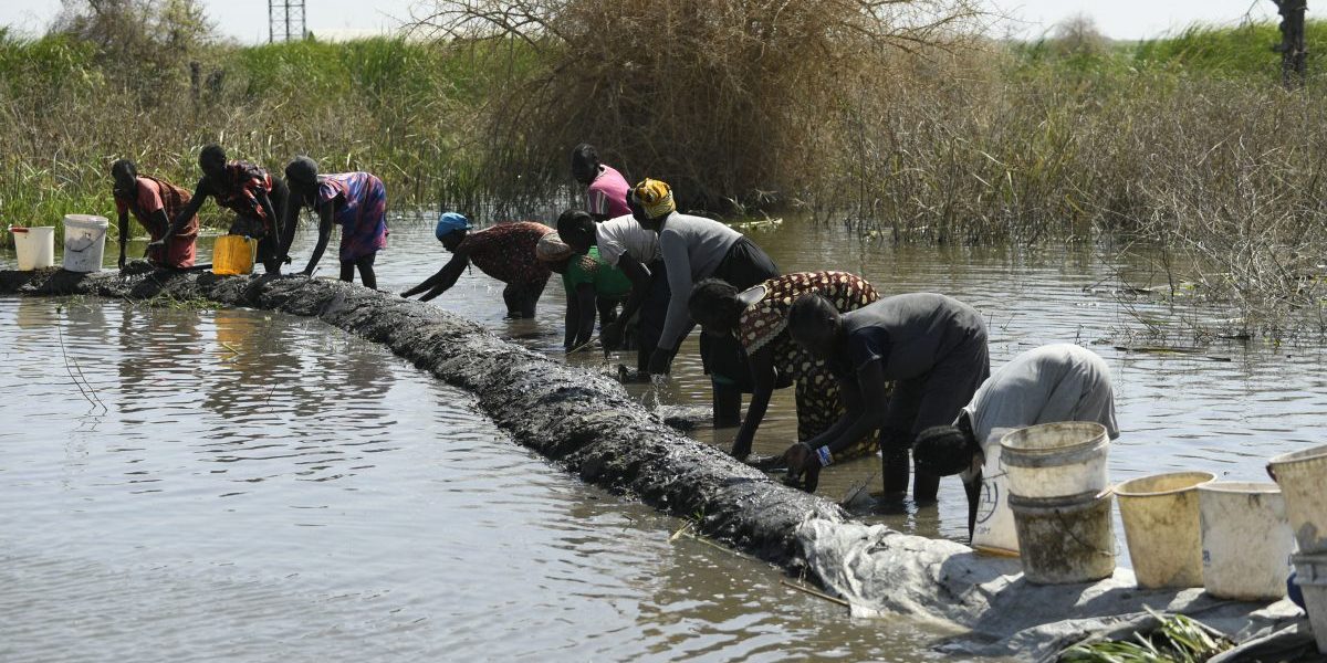 GettyImages-1249045593 SAIIA's View on COP28: African Priorities