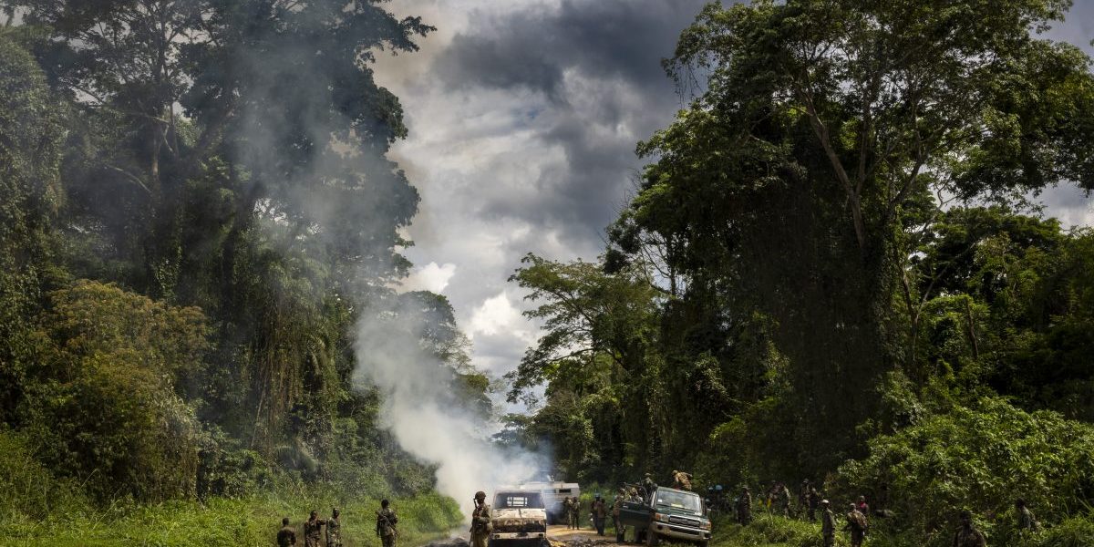 Image: Getty, Brent Stirton