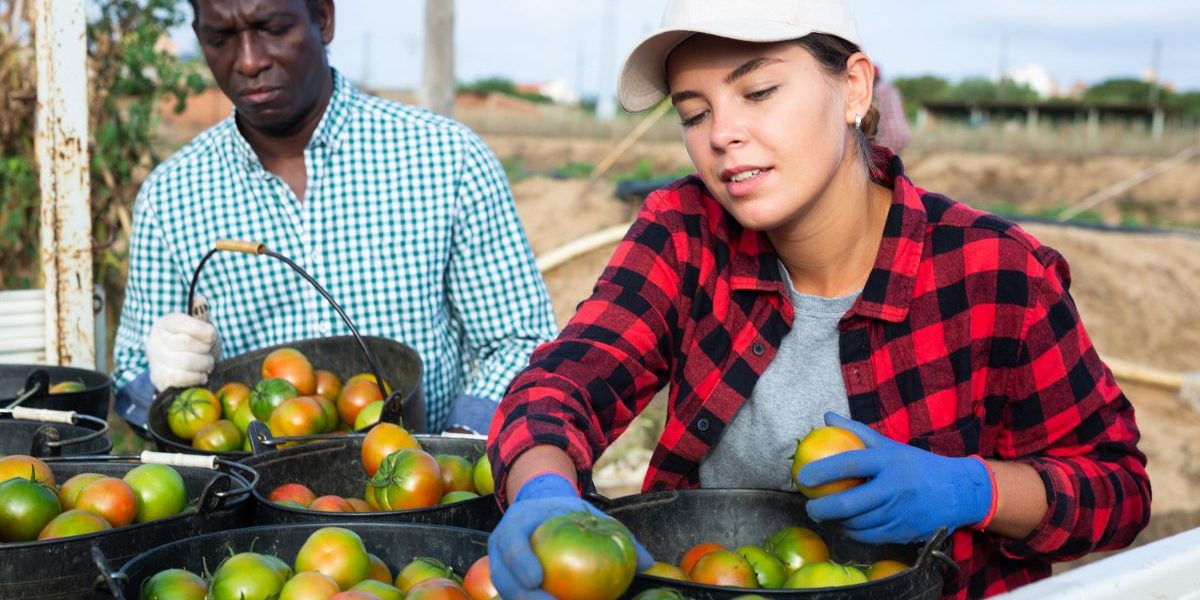 Food Security Conference Geopolitics, Geoeconomics and Food Insecurity in Africa