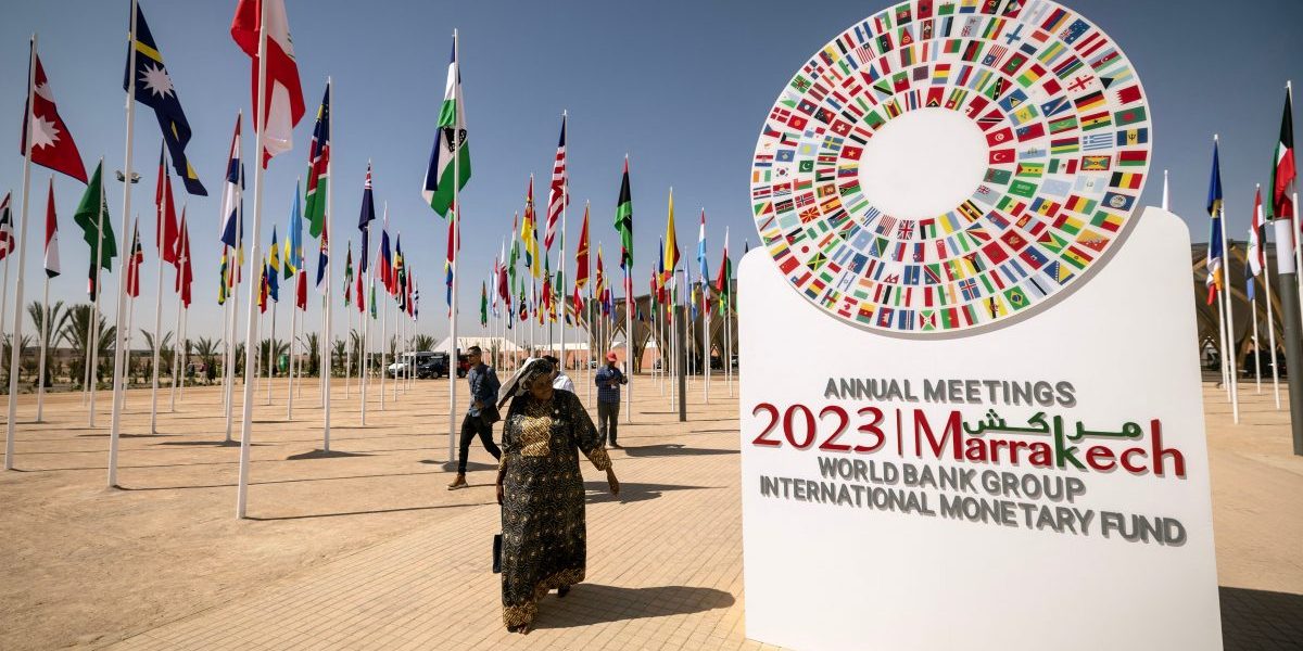 The IMF’s Regional Economic Outlook for Sub-Saharan Africa, October 2023 Light on the Horizon?