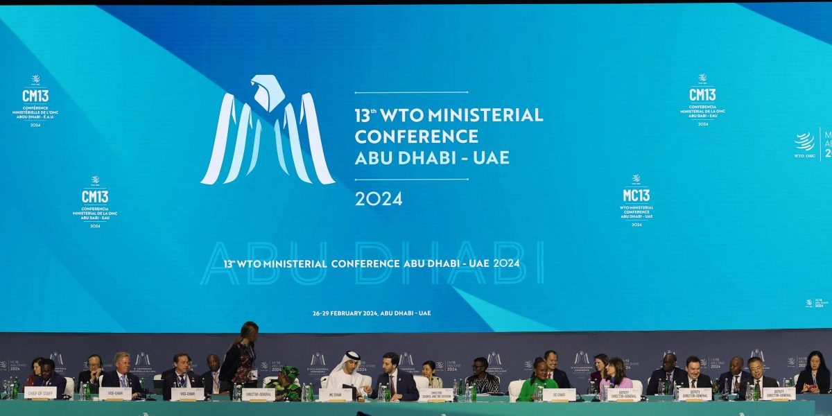The 13th WTO Ministerial Conference and the future of the world trading system