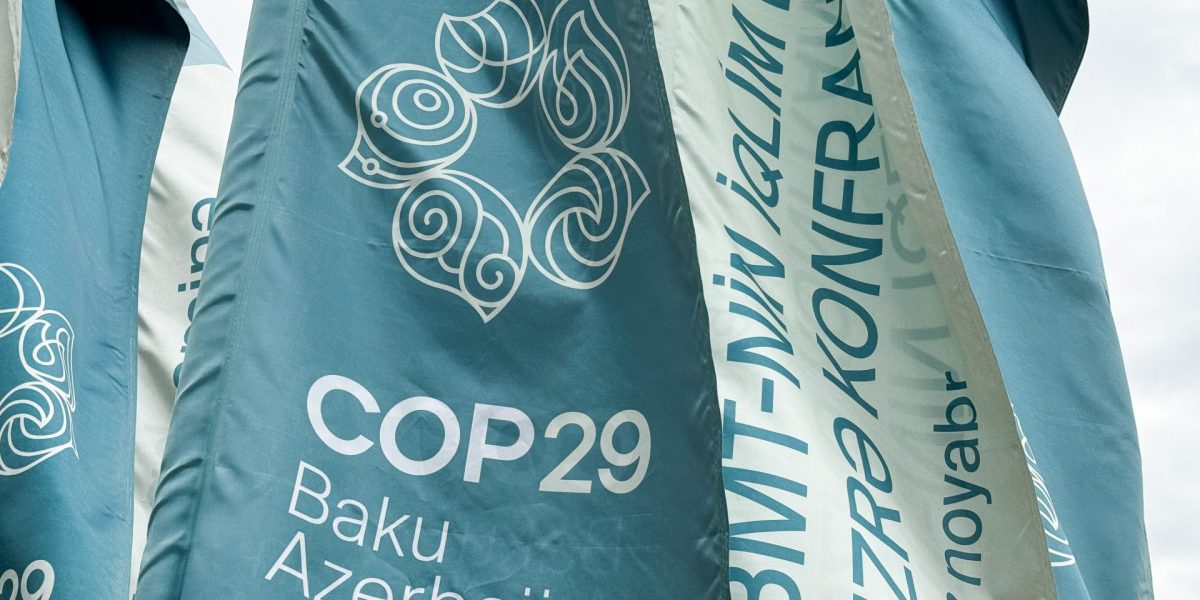 Image: Getty, NurPhoto Image: Getty, NurPhoto