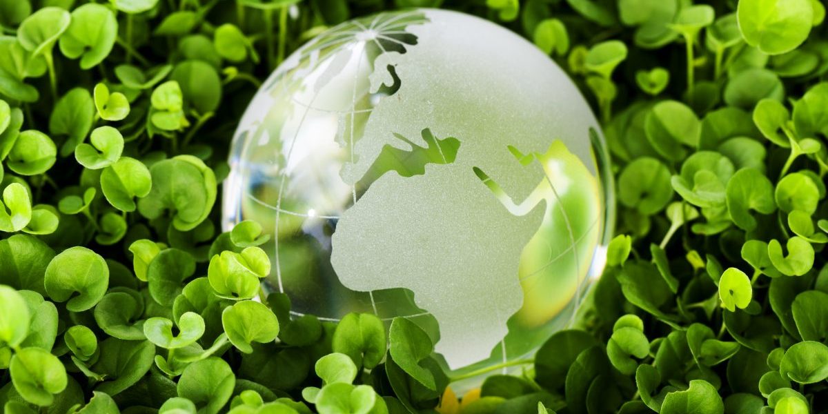 Image: Getty, aluxum