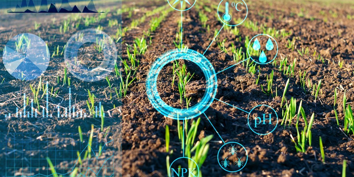 Potential use of AI to analyse crop data. Image: Getty, Igor Borisenko