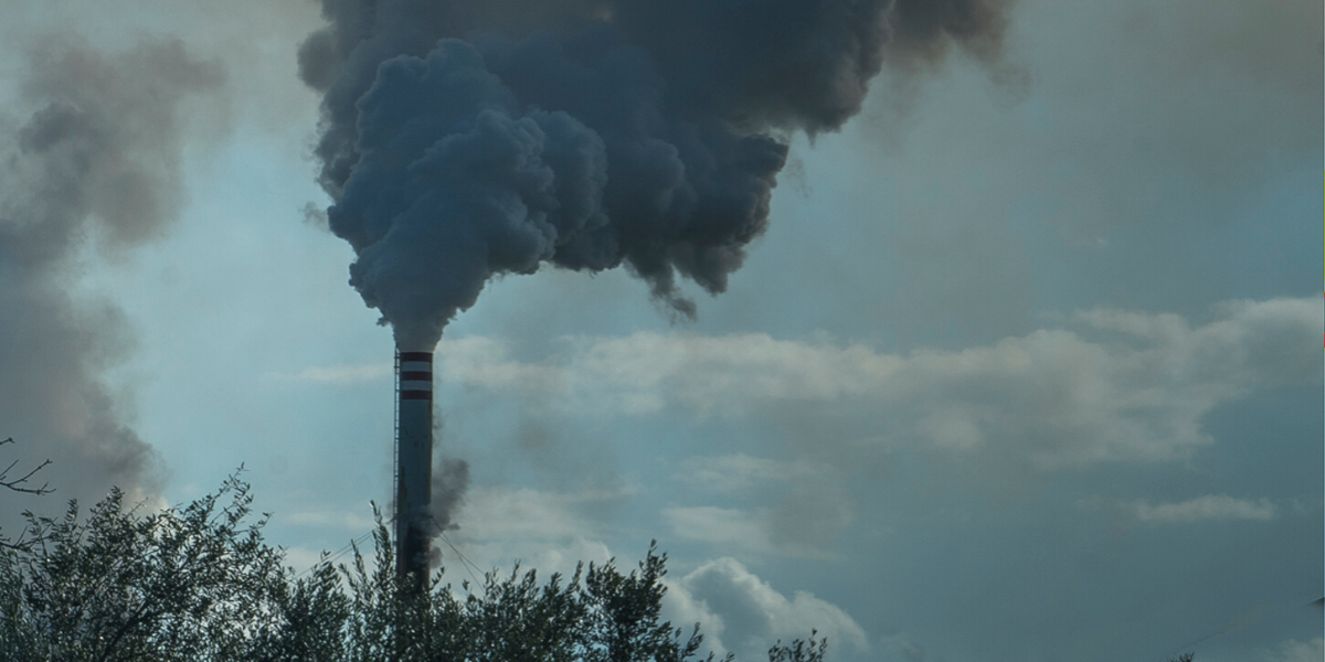Image: Getty, Buena Vista Images