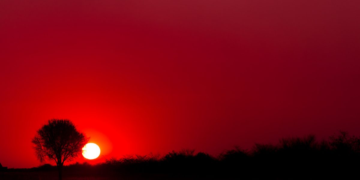 JulianLagarde_Flickr_6210404826_aab01e3efd_b Image: Flickr, Julien Lagarde