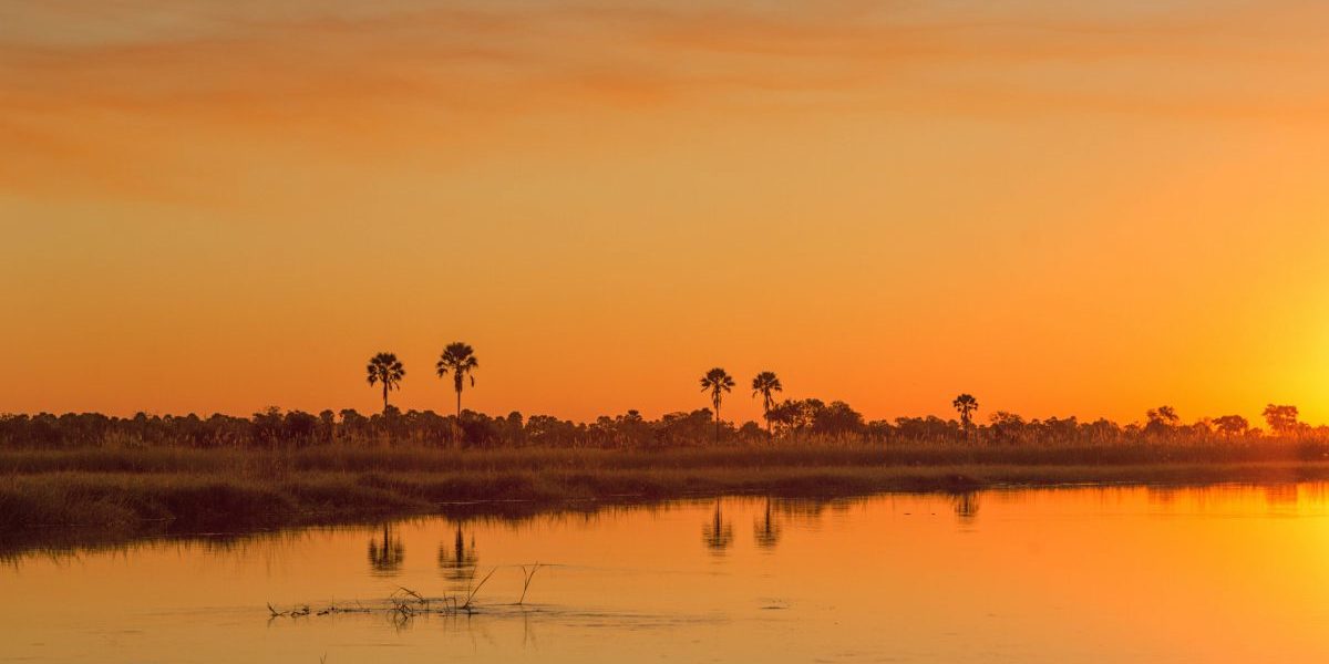 Image: Flickr, 
Michael Levine-Clark