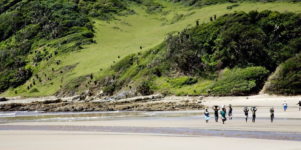 PB 268 182399429.jpg_Wild Coast, Eastern Cape, South Africa_Oyster gatherers (Paul Gregg via iStock Image: Getty, Paul Gregg
