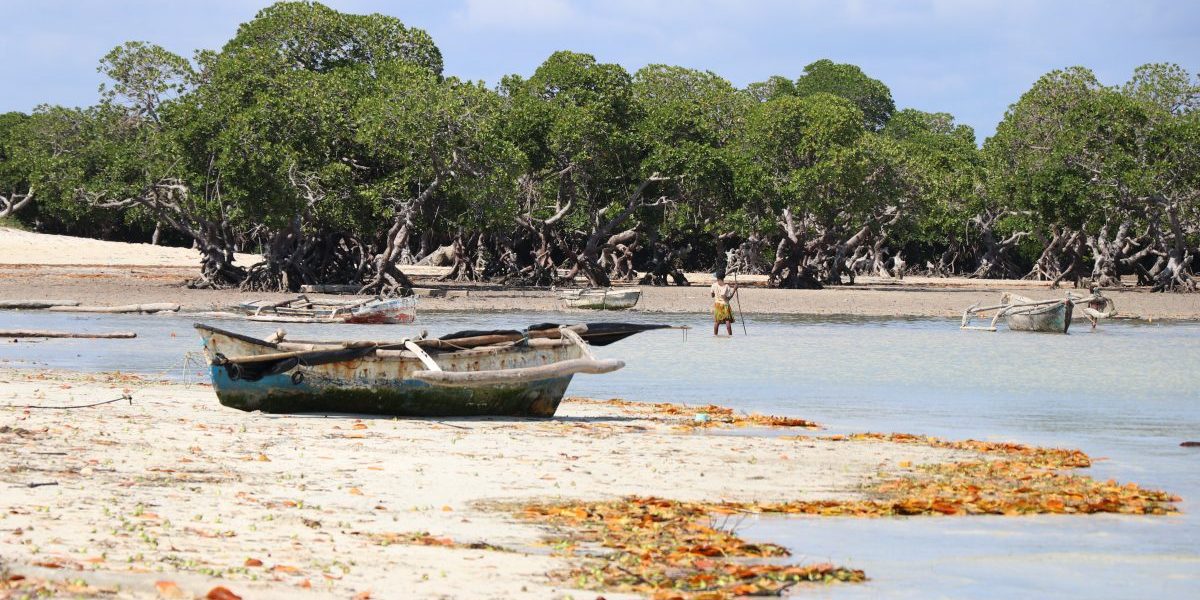 Magrove forests, Bazaruto Archipelago, Mozambique. Image: Romy Chevallier