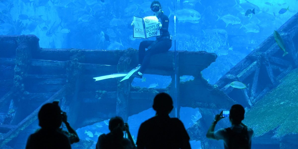 A freediver holds a sign that reads ‘World Ocean Day’ at Resort World Sentosa’s S.E.A Aquarium in Singapore. Image: Getty, Roslan Rahman/AFP