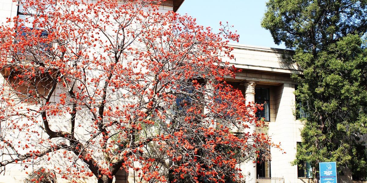 SAIIA building re touched_1500 Image: Nicky Rehbock