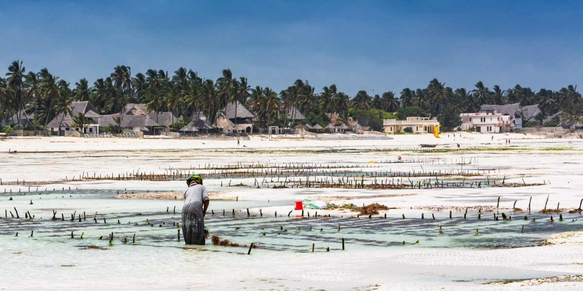 Strengthening Marine and Coastal EbA in Southern Africa