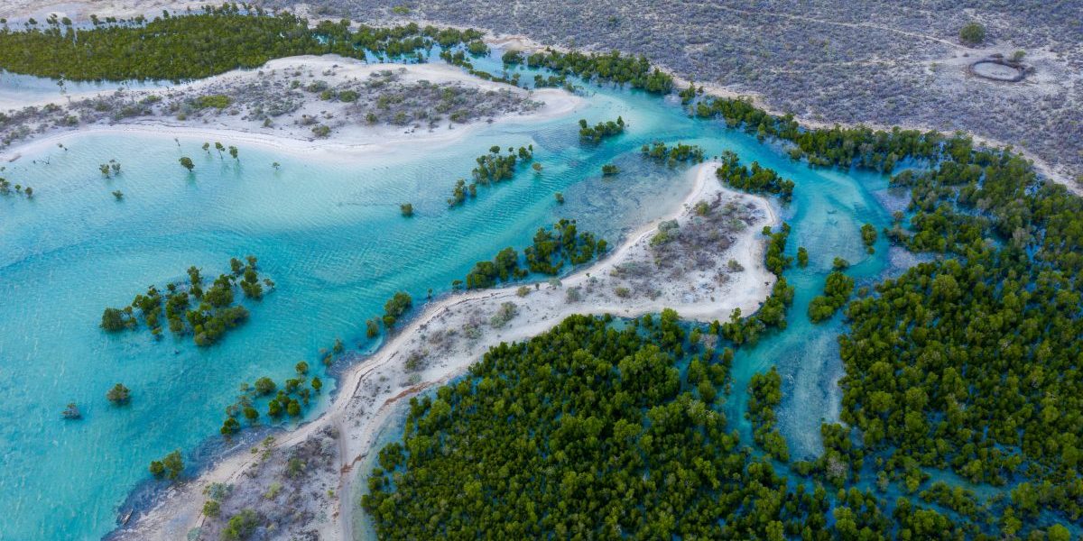 A Regional Assessment of Marine and Coastal EbA in SADC