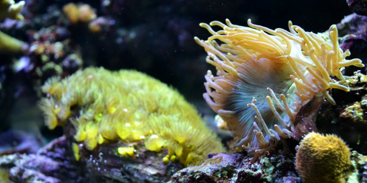 Image: Unsplash, Marykehl