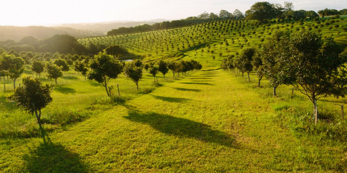 Photo: iStock Photo: iStock