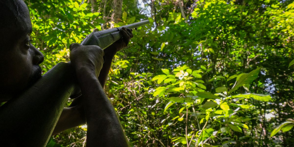 Photo: flickr, Axel Fassio/CIFOR Photo: flickr, Axel Fassio/CIFOR