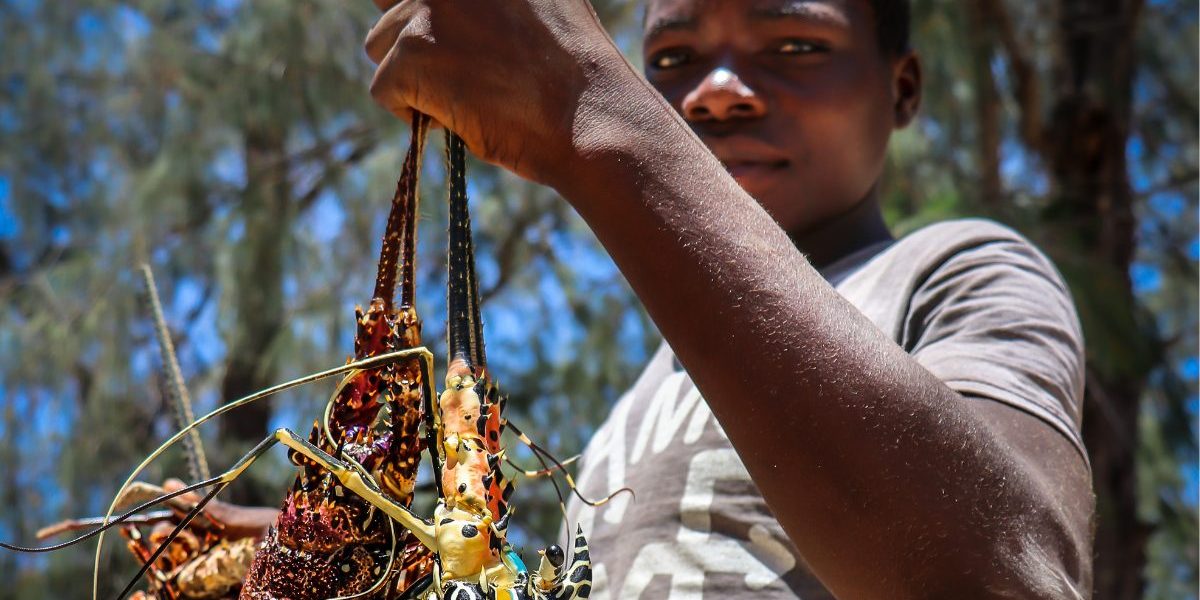 Livelihood Opportunities Through Scaling Marine and Coastal EbA
