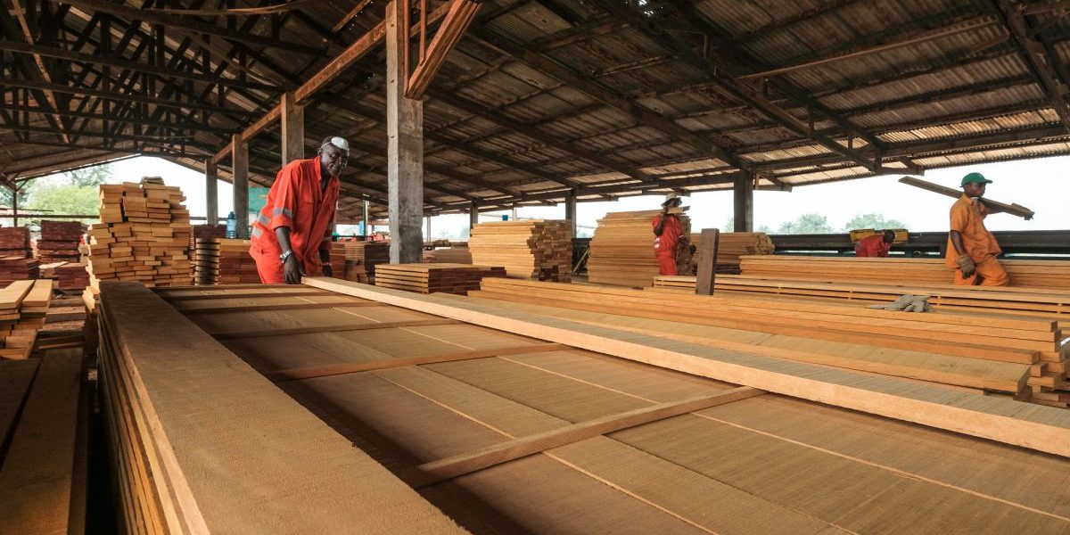 Image: Flickr, Axel Fassio/CIFOR