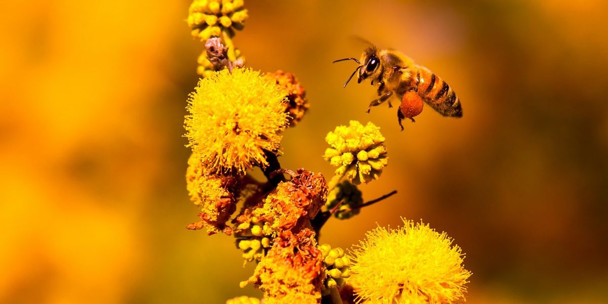 Image: Getty, Yassine Chaachoua