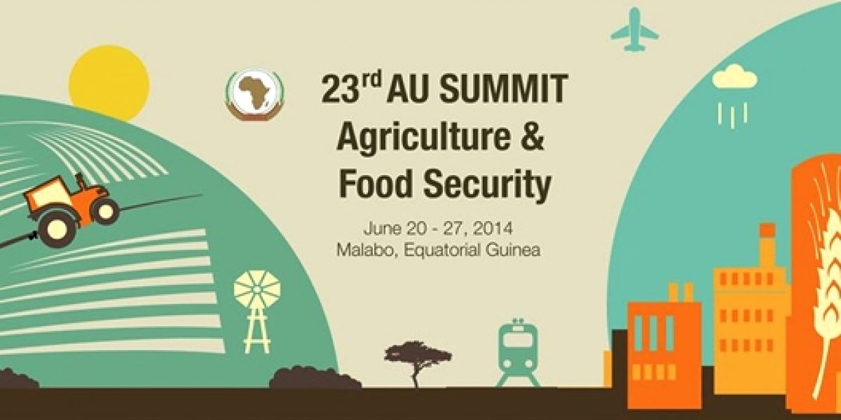 ©The African Union Commission