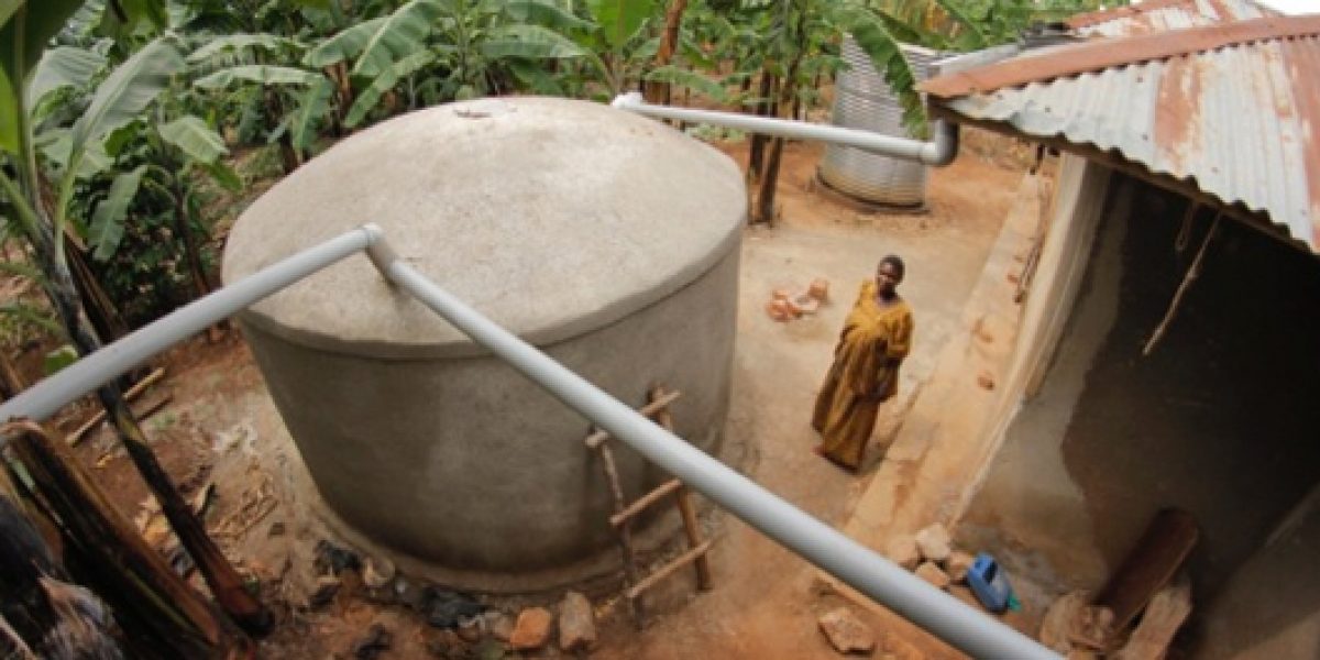 Photo © Sabrina Chesterman Photo © Sabrina Chesterman