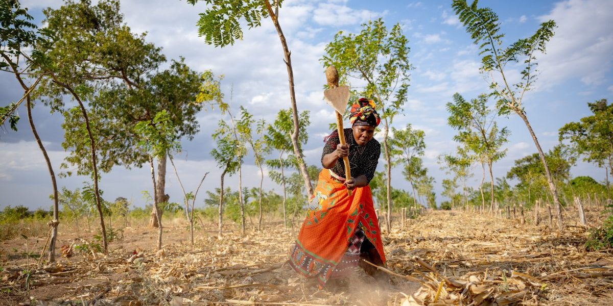 Strengthening Africa’s climate-smart agriculture and food systems through enhanced policy coherence and coordinated action