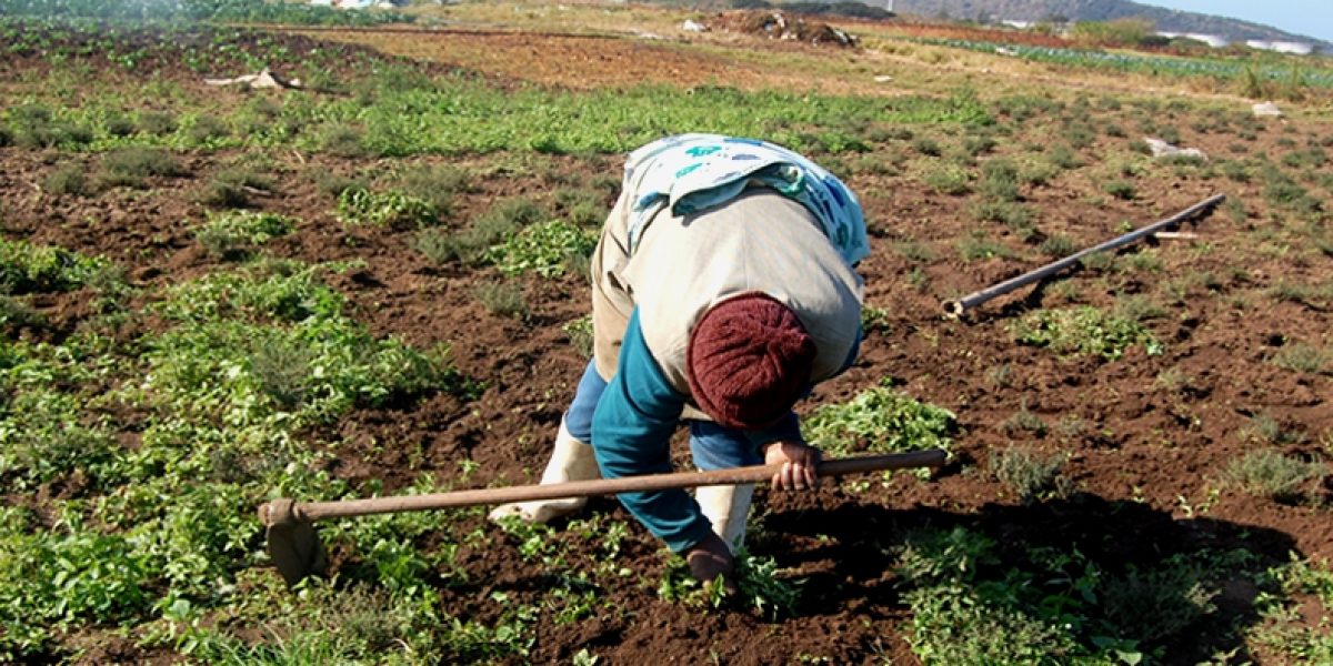 Photo © WWViews/ Flickr