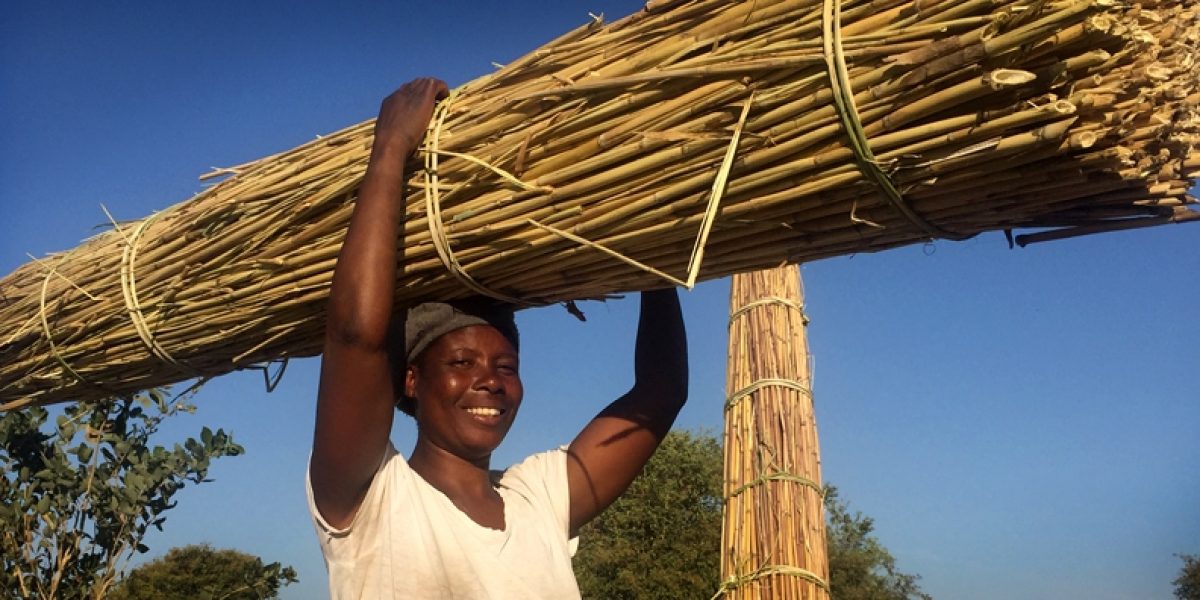 Photo © Romy Chevallier/ SAIIA