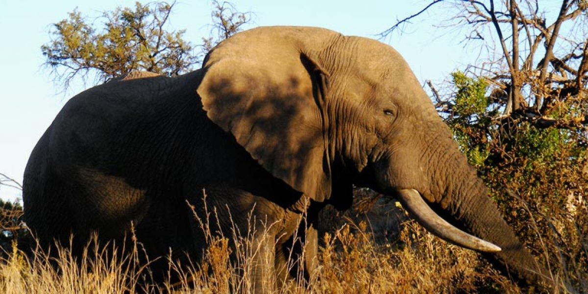 Photo © Jonathan Michael Peel/ Flickr