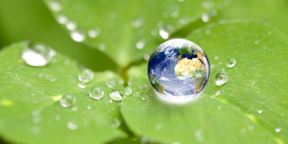 Image: Getty, Crossbrain66