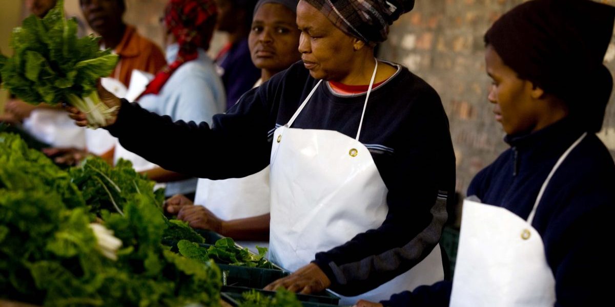 Image: Flickr, Department of Foreign Affairs and Trade