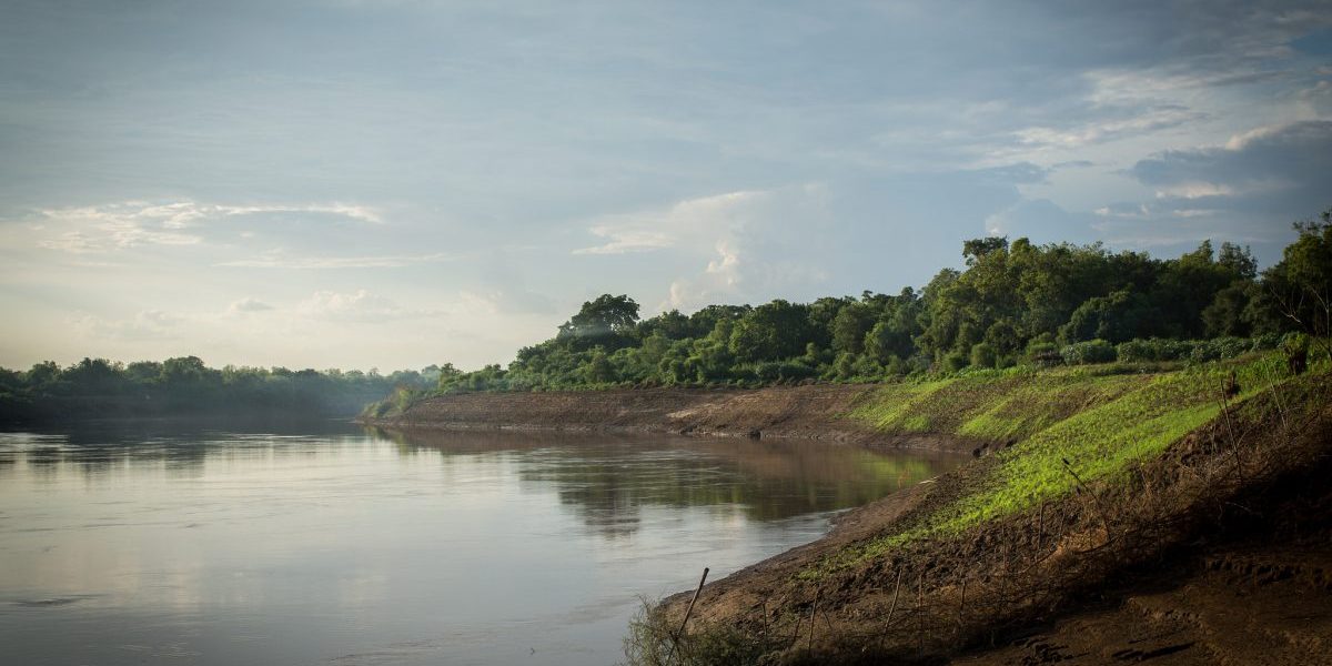 Image: Flickr, Joseph King