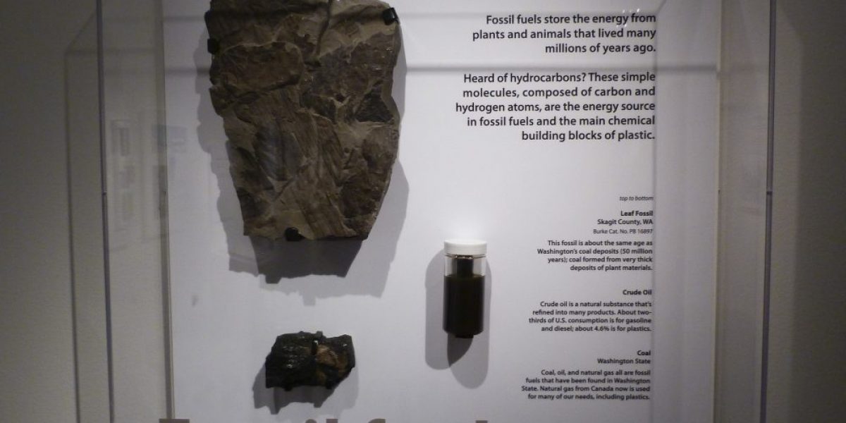 Image: Flickr, PROJoe A. Kunzler