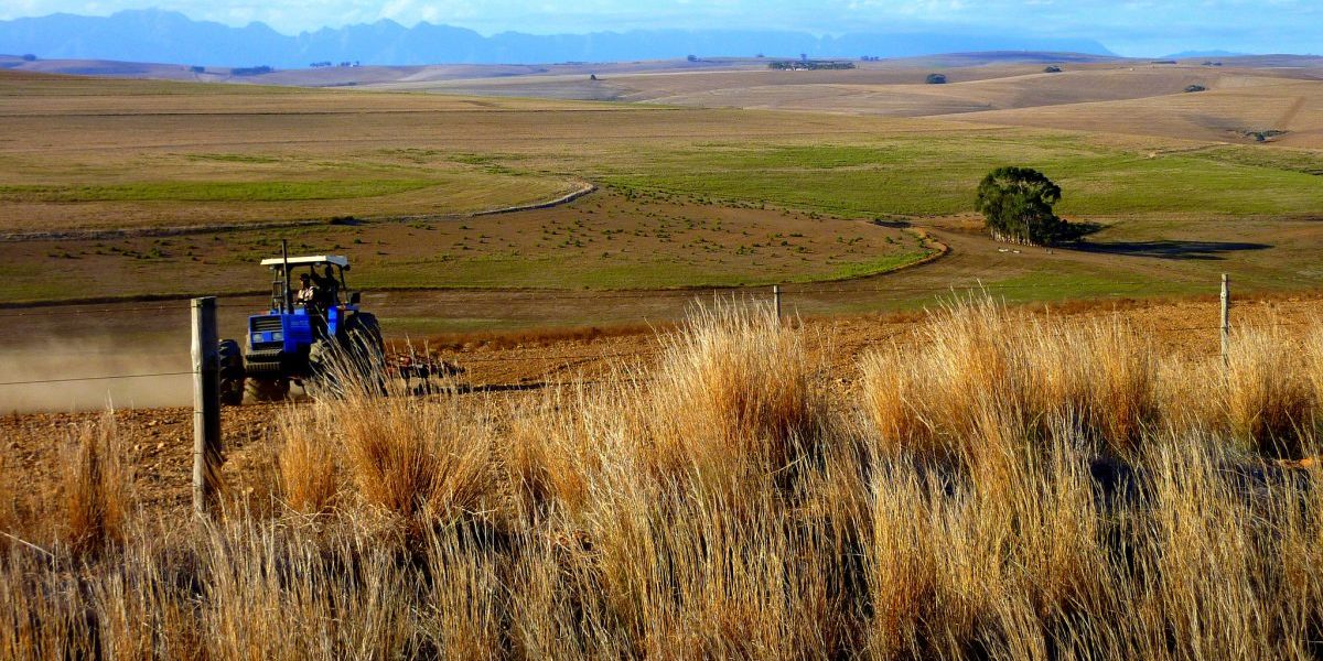 Image: Flickr, Christopher Griner