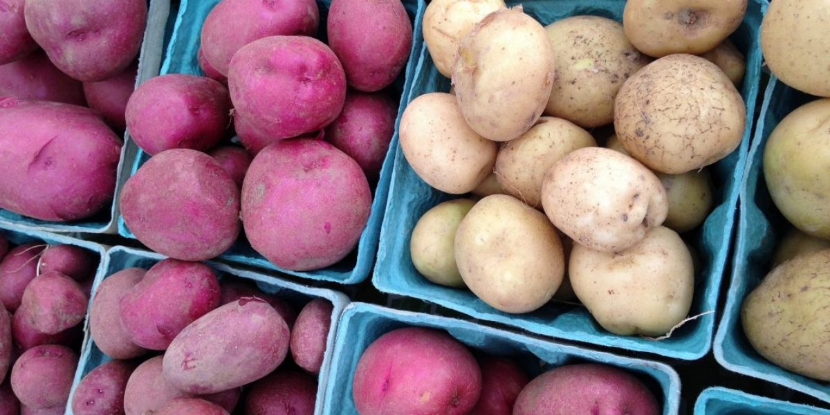 Image: Flickr, Seacoast Eat Local