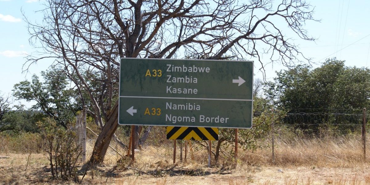 Image: Flickr, Guitarfish