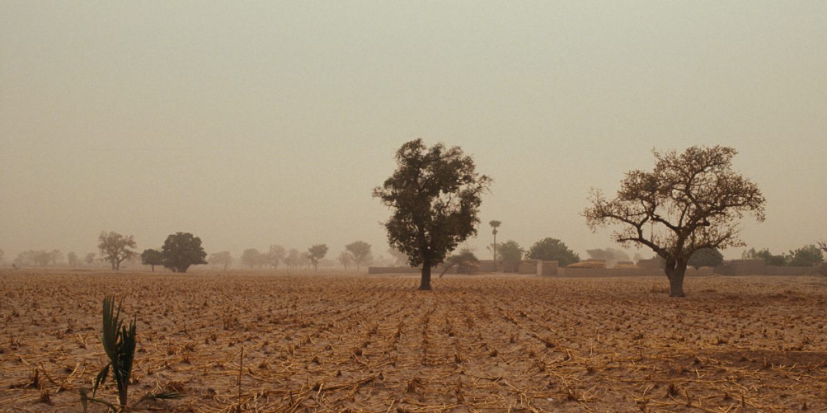 Image: Flickr, PROWorld Bank Photo Collection