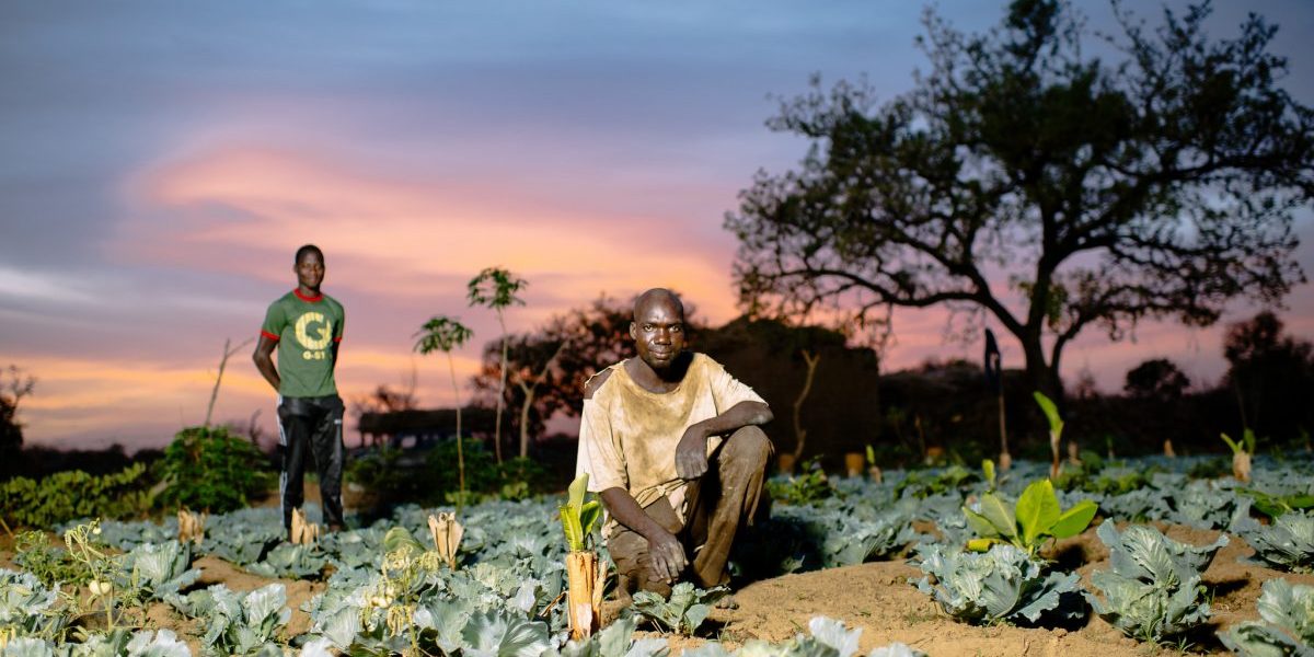 Image: Flickr, CIFOR