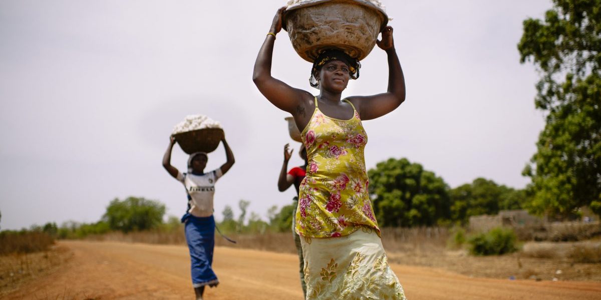 Image: Flickr, CIFOR