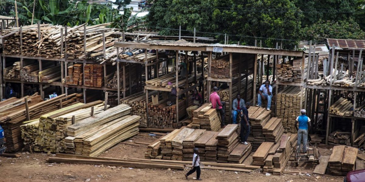 Image: Flickr, CIFOR