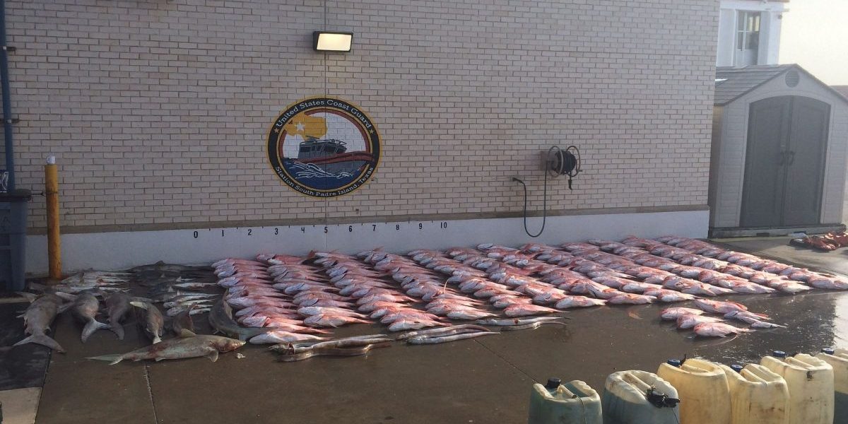 Image: Flickr, Coast Guard News