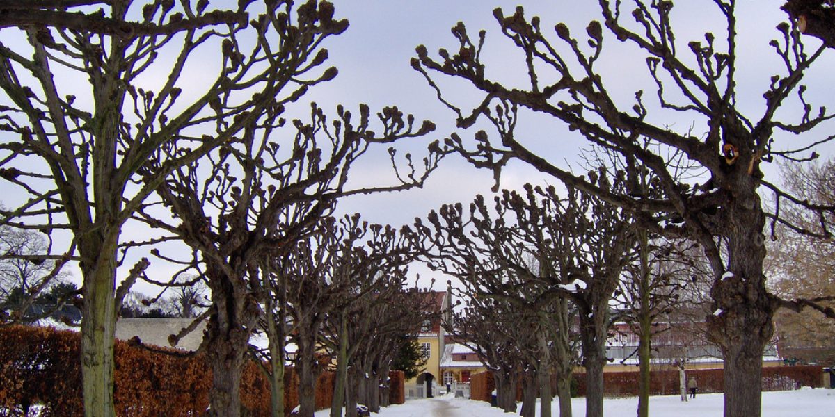 Image: Flickr, charlotteshj