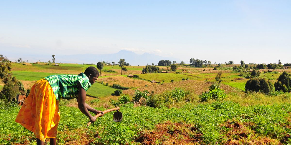 Image: Flickr, Mountain Partnership at FAO