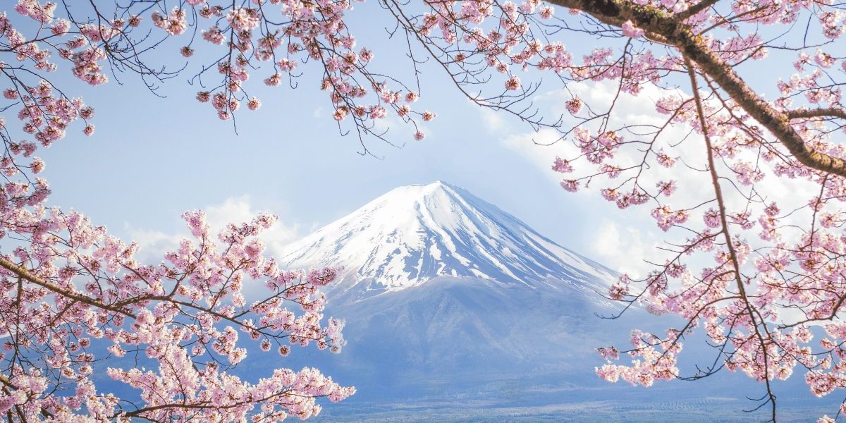 Image: Getty, DoctorEgg