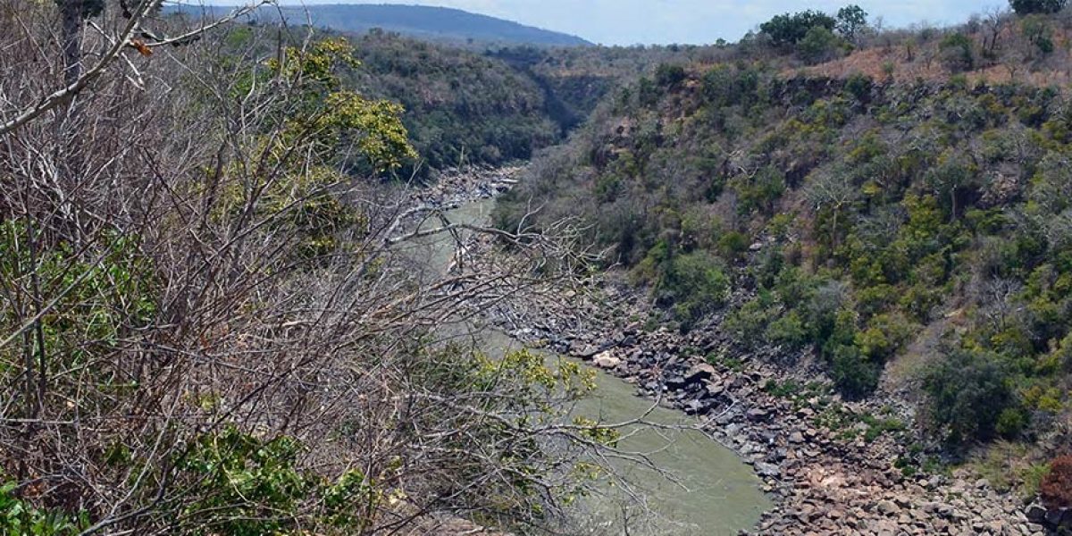 Stiegler’s Gorge Stiegler’s Gorge